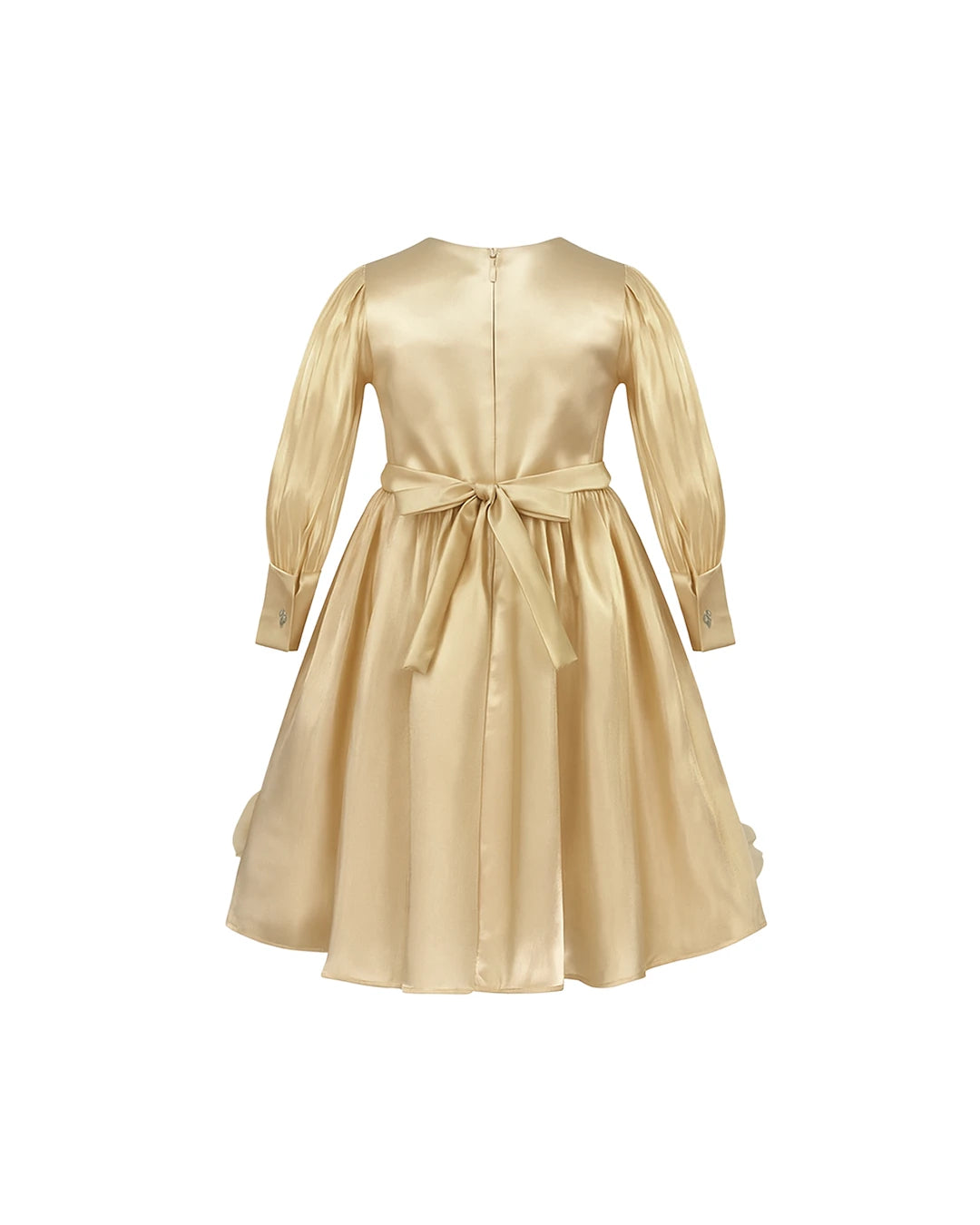 Silk Dress