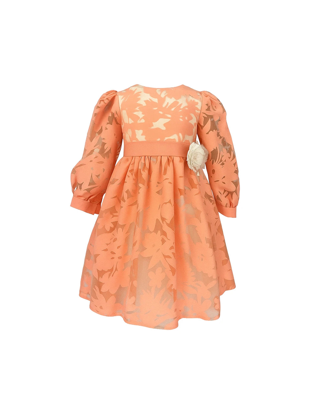 Orange Dress