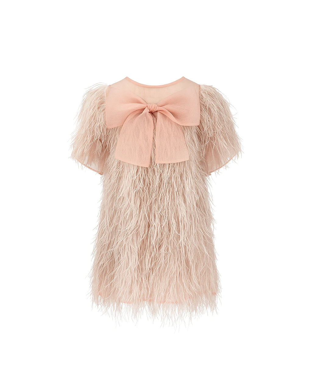 Pink Feather